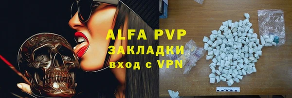СК Вязьма