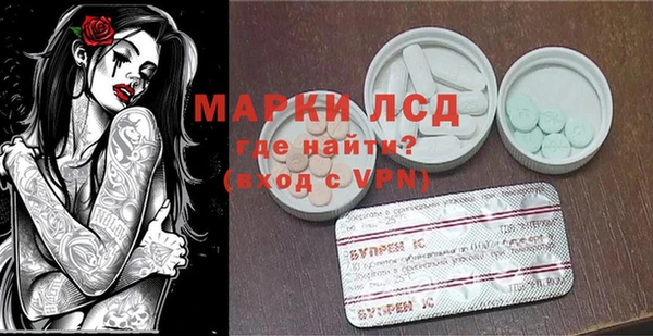 СК Вязьма