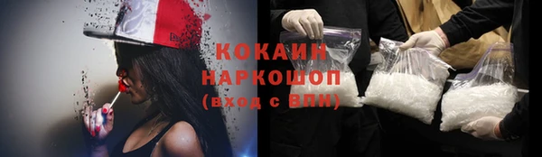 СК Вязьма