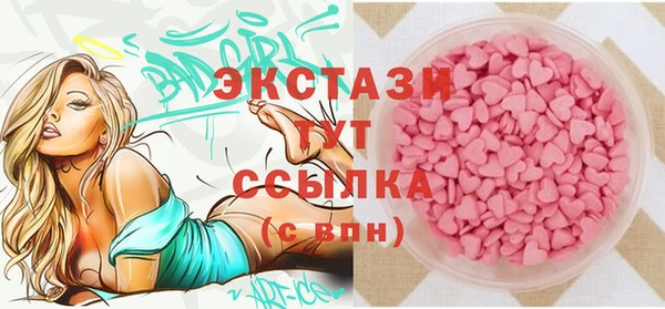 СК Вязьма