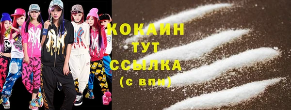 СК Вязьма