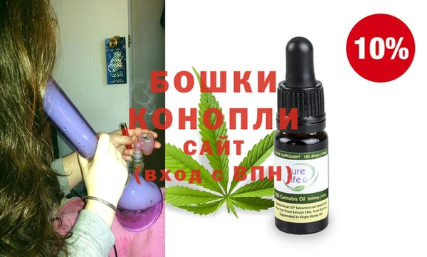 СК Вязьма