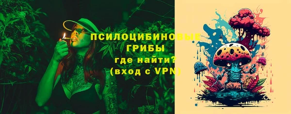 гидропоника Вяземский